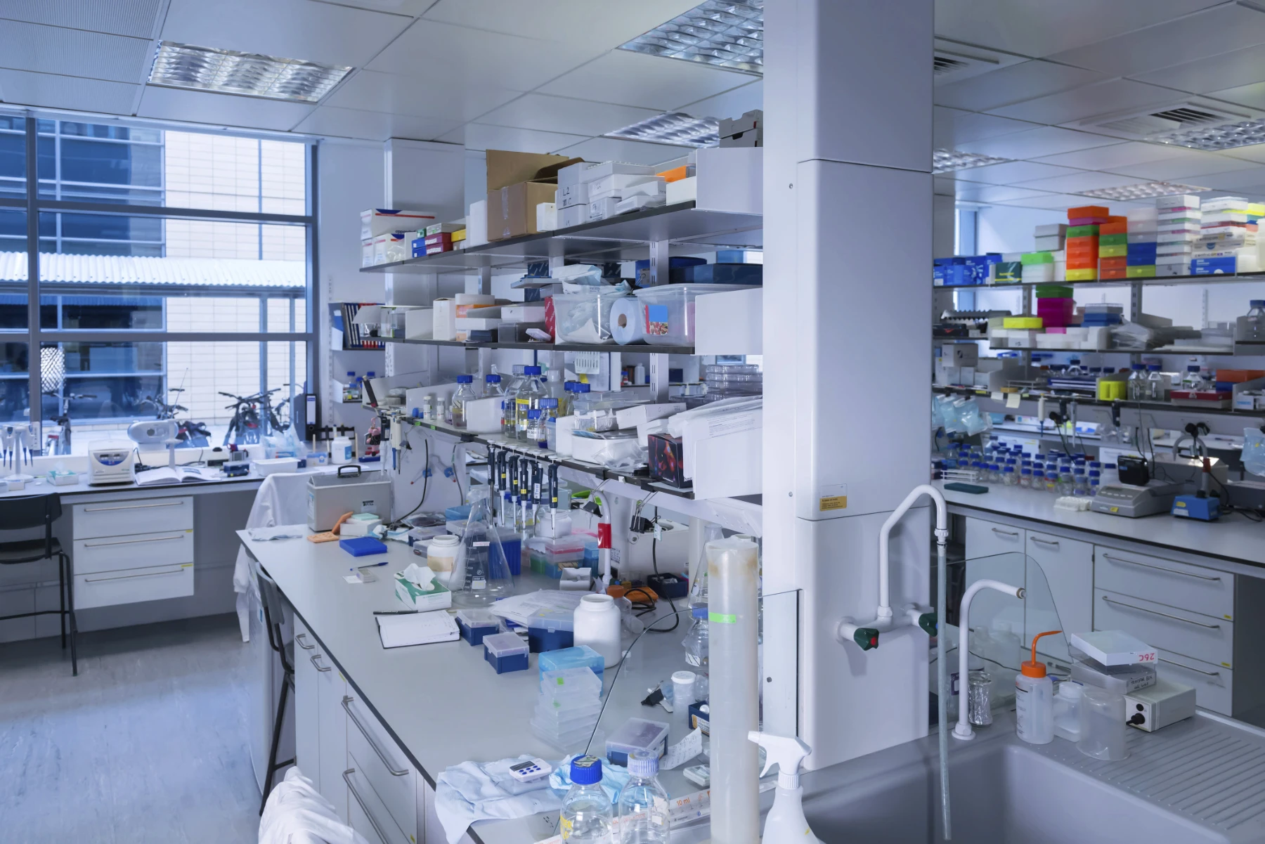 Bright Laboratory Full of Equipment, Clean and Organized